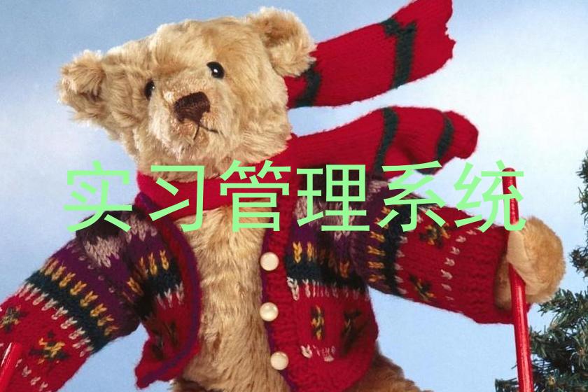 实习管理系统