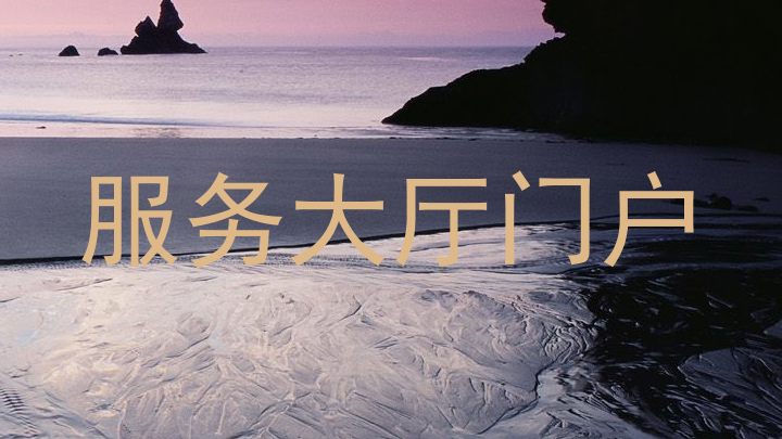 服务大厅门户
