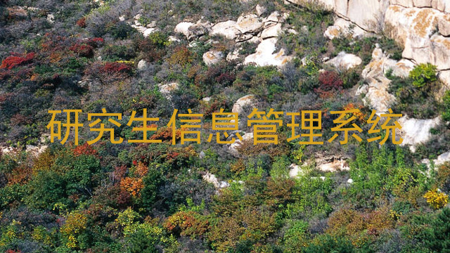 研究生信息管理系统