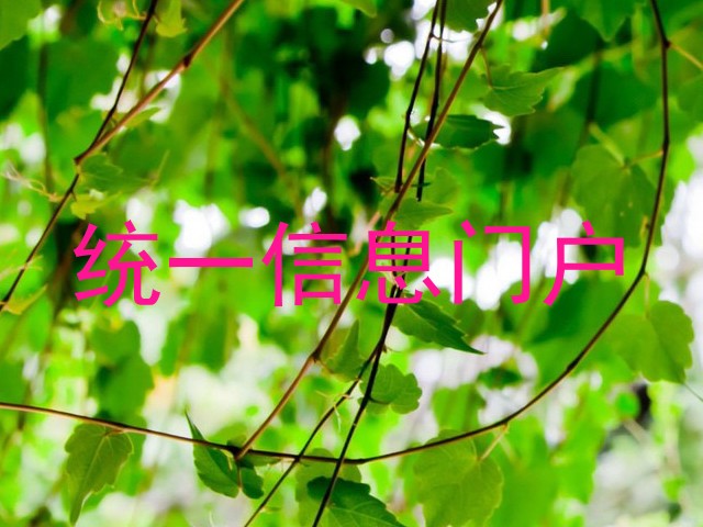 统一信息门户