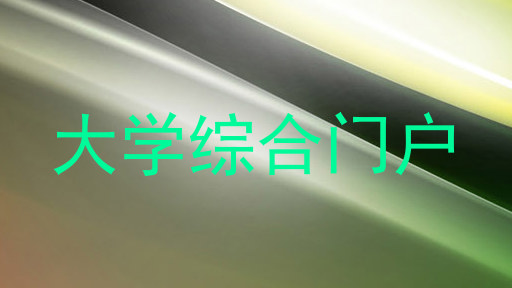 大学综合门户