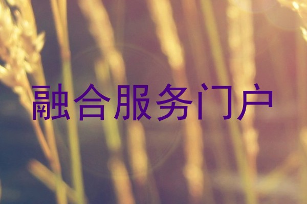 融合服务门户