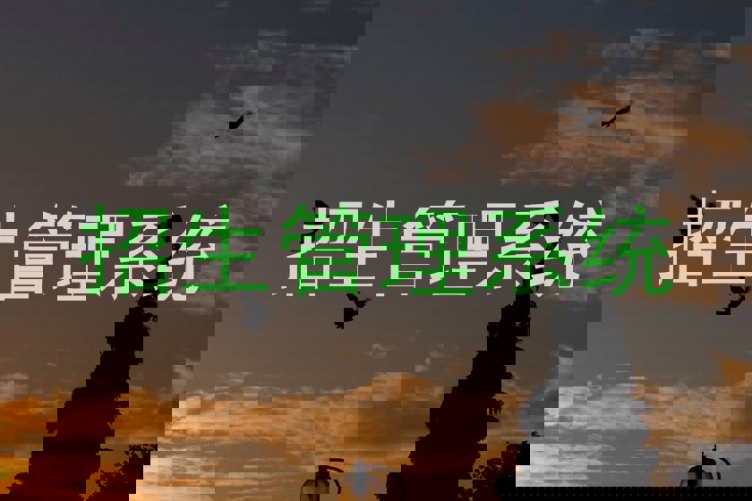招生管理系统