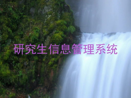 研究生信息管理系统