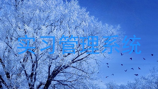 实习管理系统
