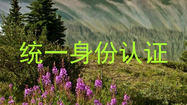 统一身份认证