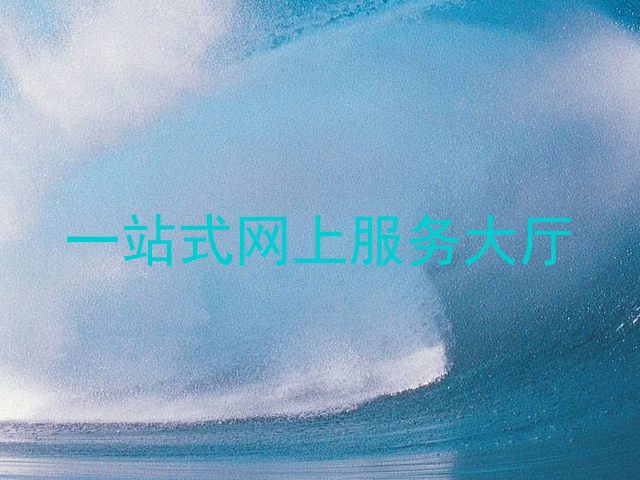 一站式网上服务大厅