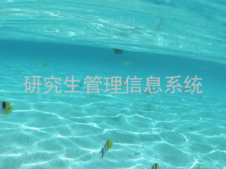 研究生管理信息系统
