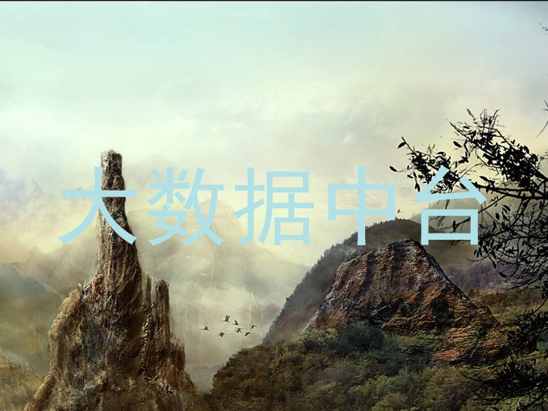 大数据中台