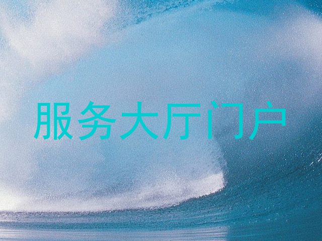 服务大厅门户