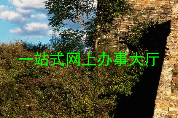 一站式网上办事大厅
