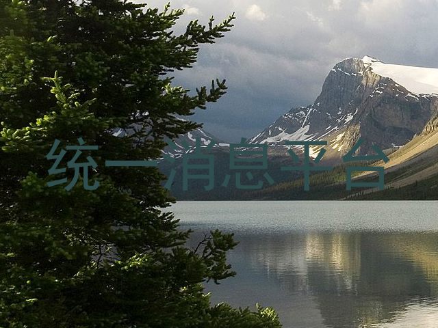 统一消息平台