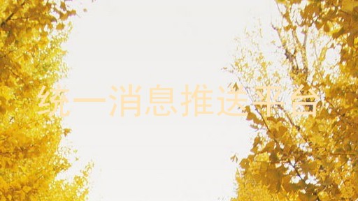 统一消息推送平台