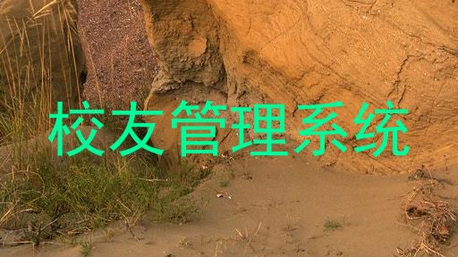 校友管理系统