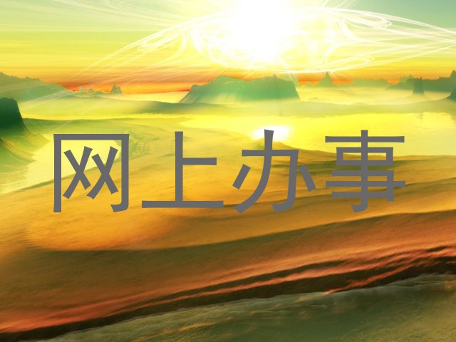 网上办事