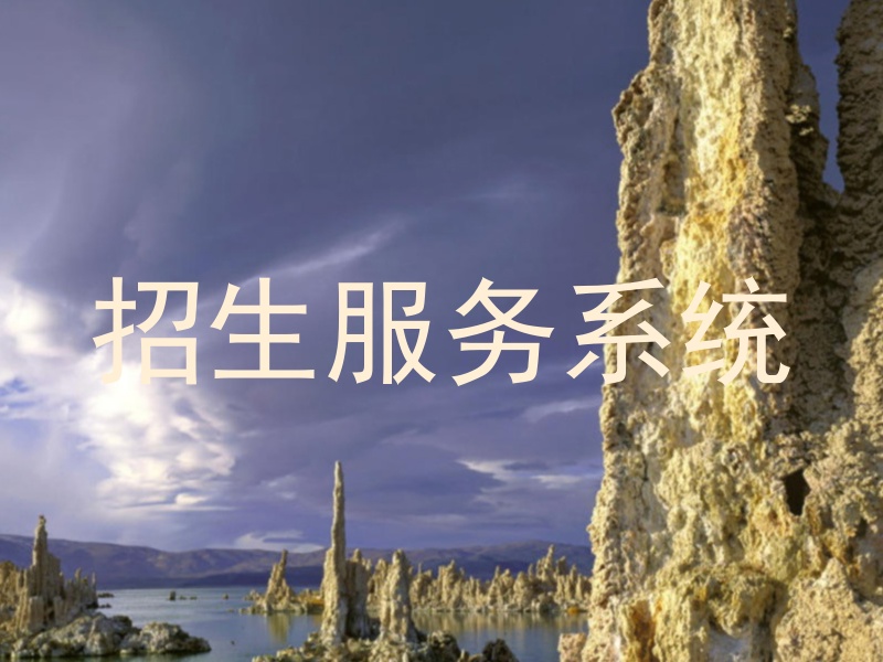 招生服务系统