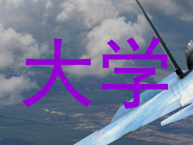 大学