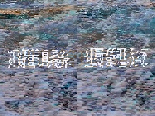 迎新管理系统