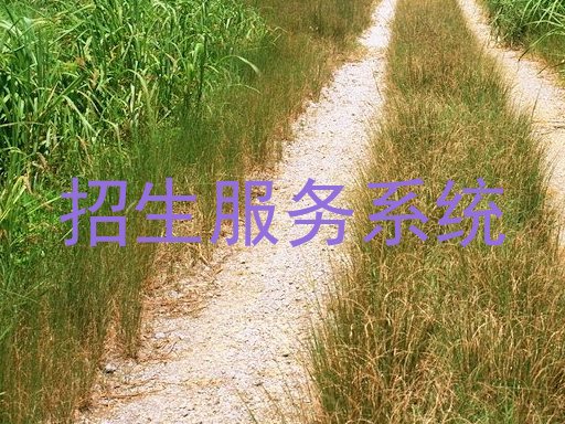 招生服务系统