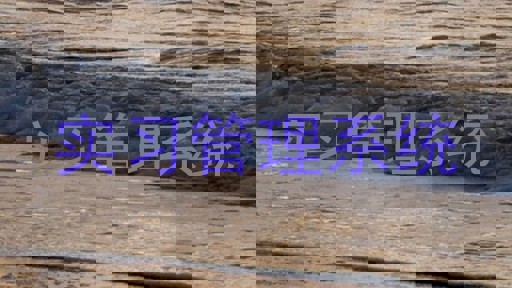 实习管理系统