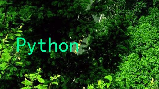 Python