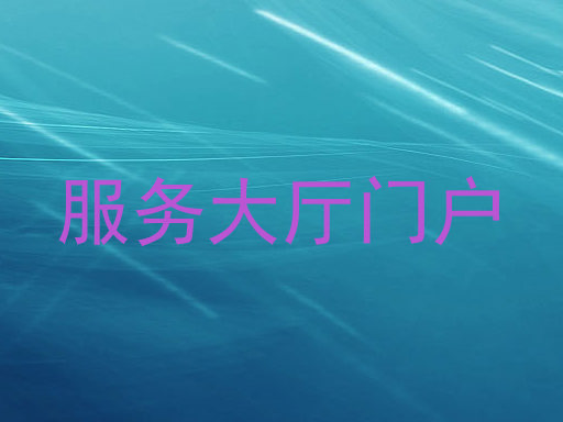 服务大厅门户