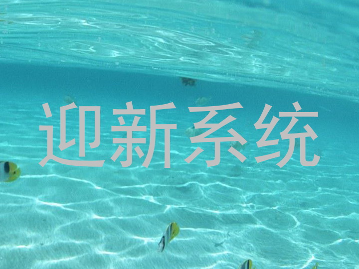 迎新系统