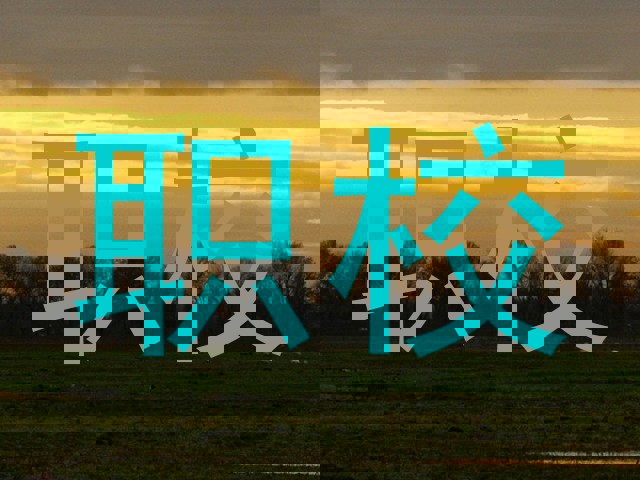 职校