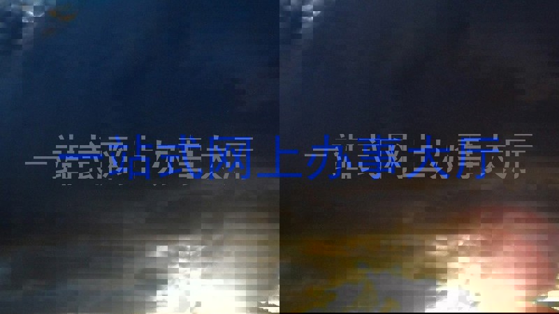 一站式网上办事大厅