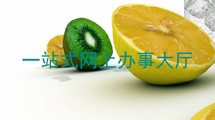 一站式网上办事大厅