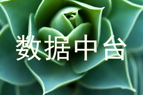 数据中台