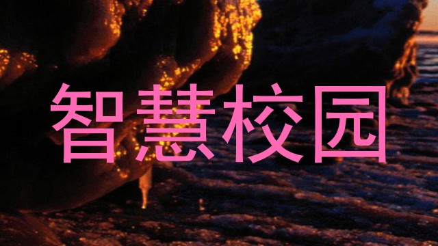 智慧校园