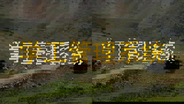 学工管理系统