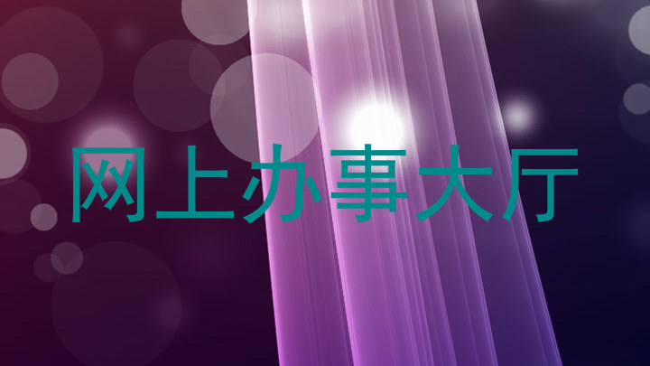 网上办事大厅