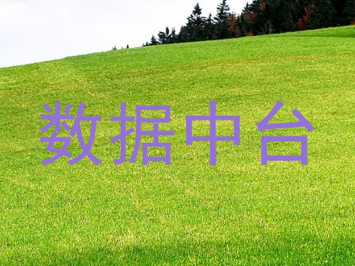 数据中台