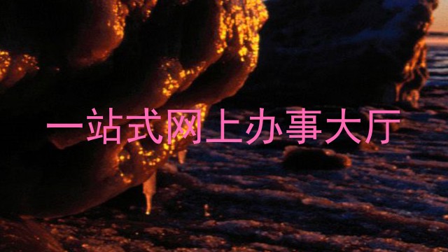 一站式网上办事大厅