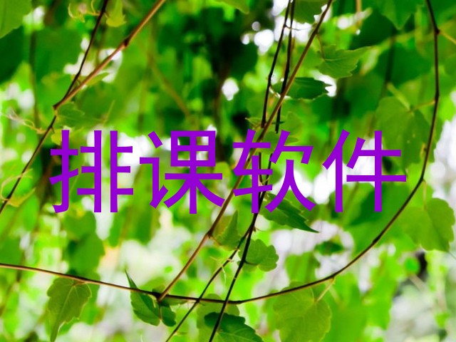 排课软件