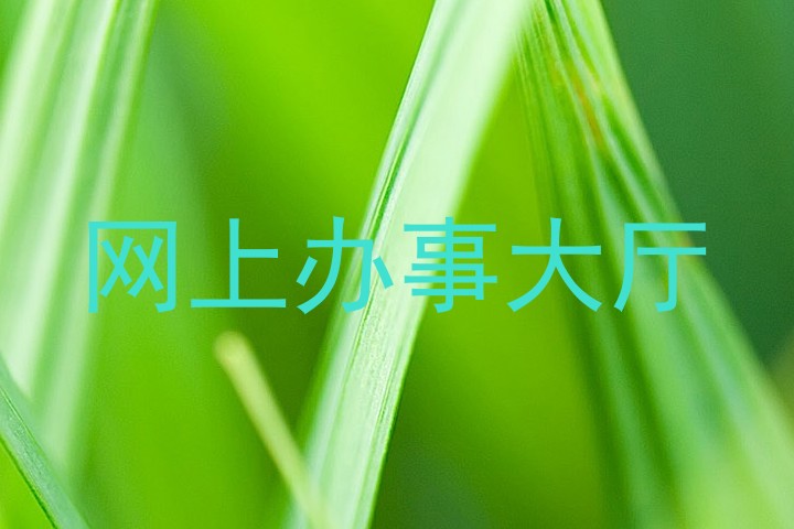 网上办事大厅