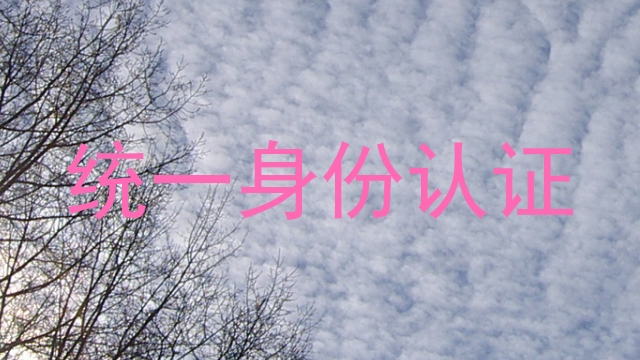 统一身份认证