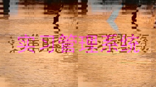 实习管理系统