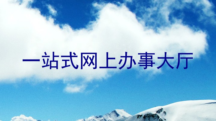 一站式网上办事大厅