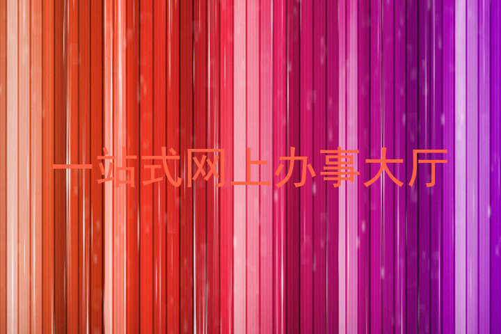 一站式网上办事大厅