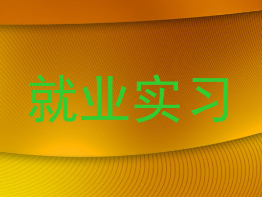 就业实习