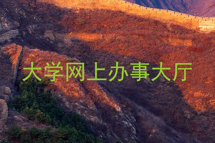 大学网上办事大厅