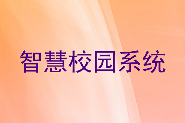 智慧校园系统