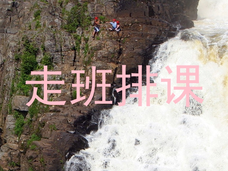 走班排课