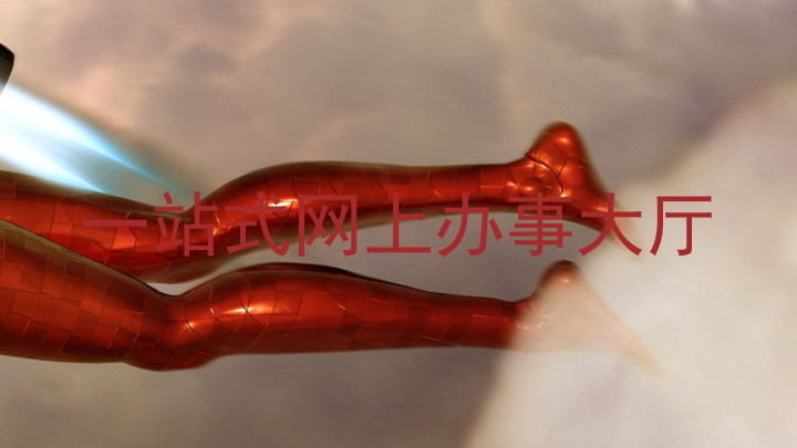 一站式网上办事大厅