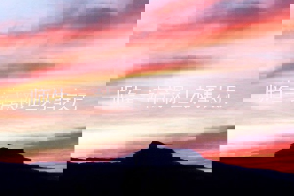 师生一站式网上办事大厅