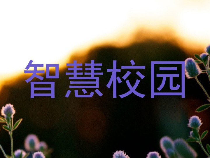 智慧校园