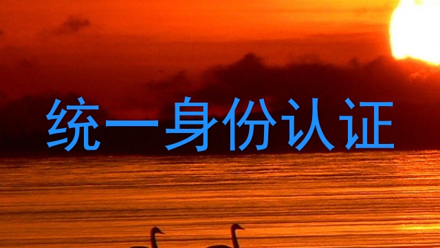统一身份认证